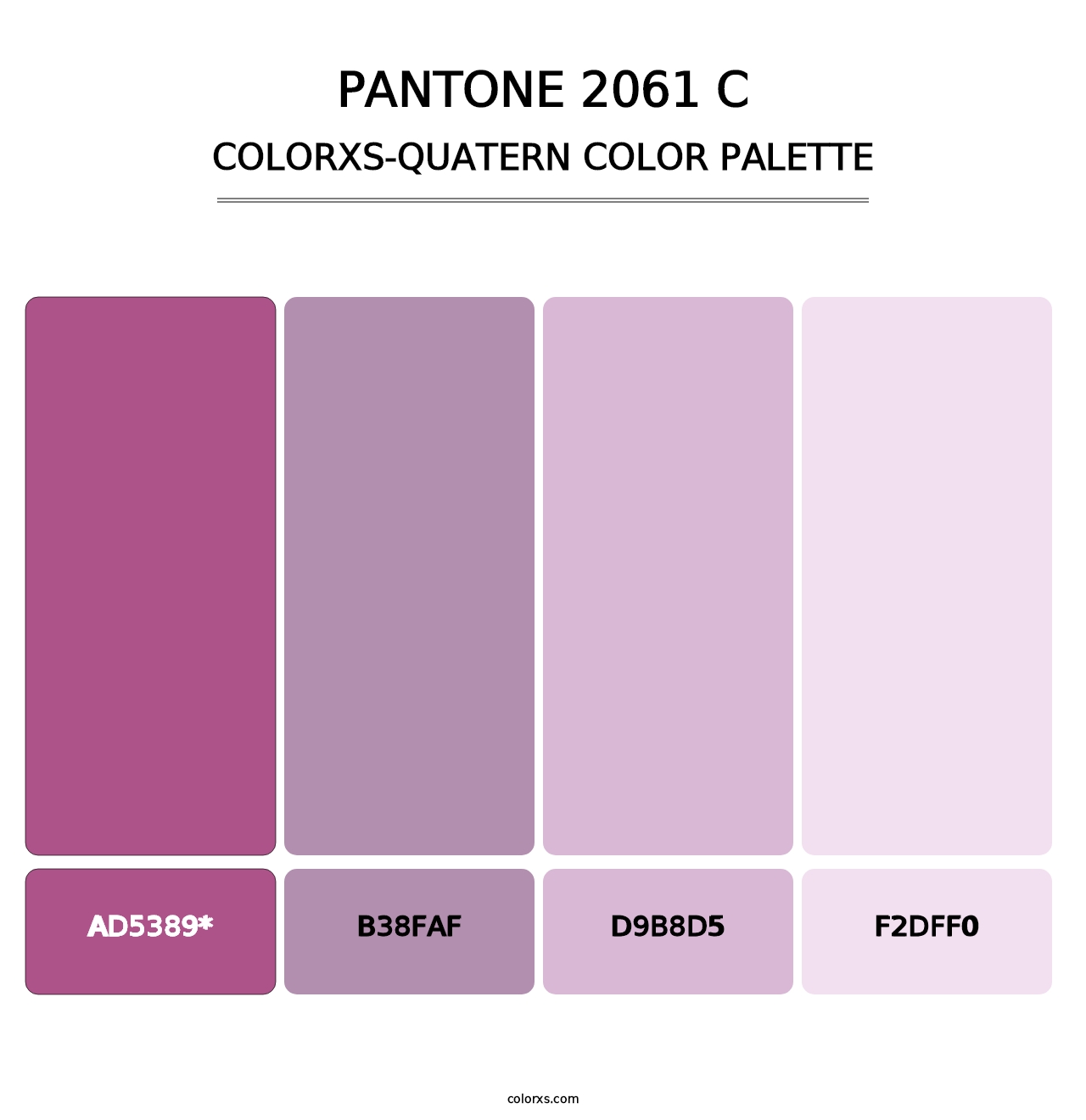 PANTONE 2061 C - Colorxs Quatern Palette