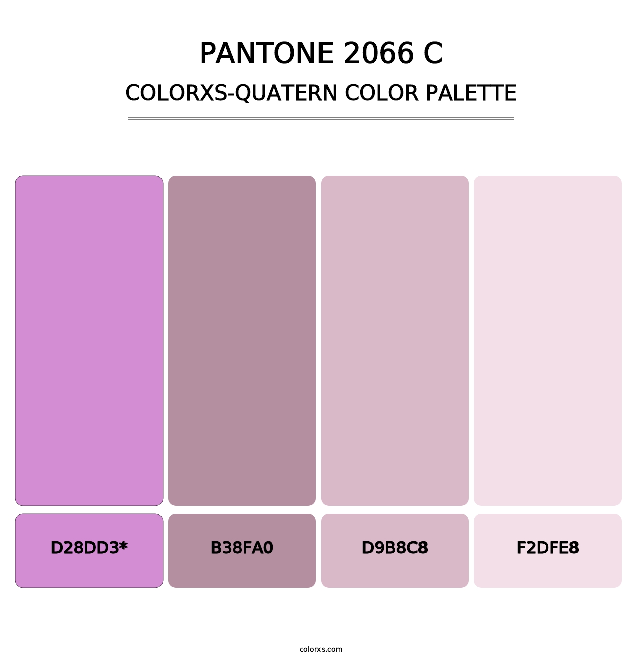 PANTONE 2066 C - Colorxs Quatern Palette