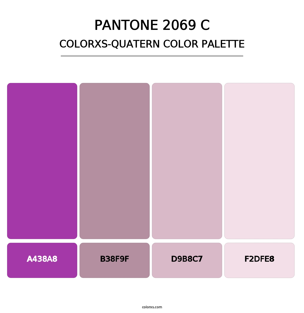 PANTONE 2069 C - Colorxs Quatern Palette