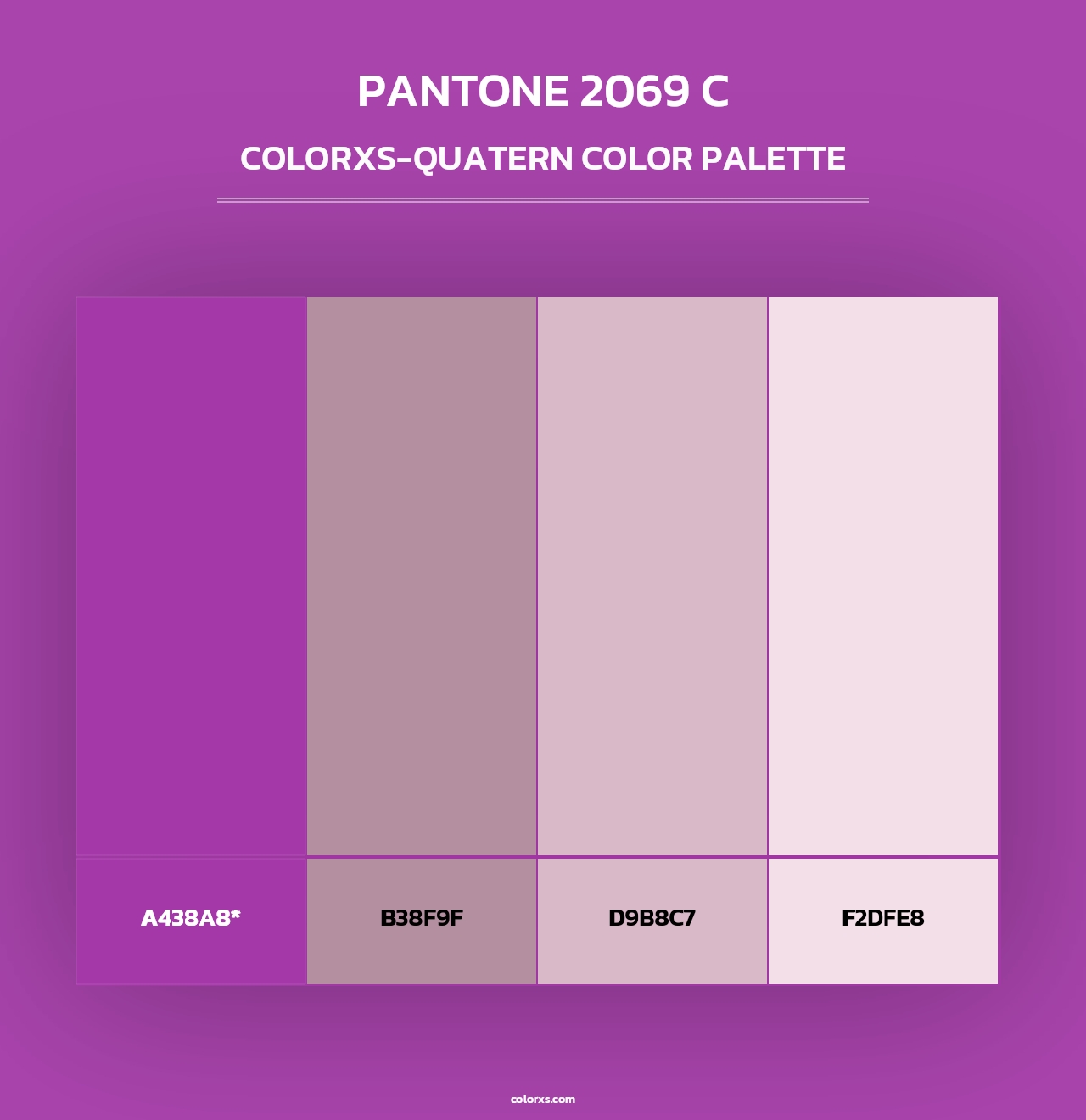 PANTONE 2069 C - Colorxs Quad Palette