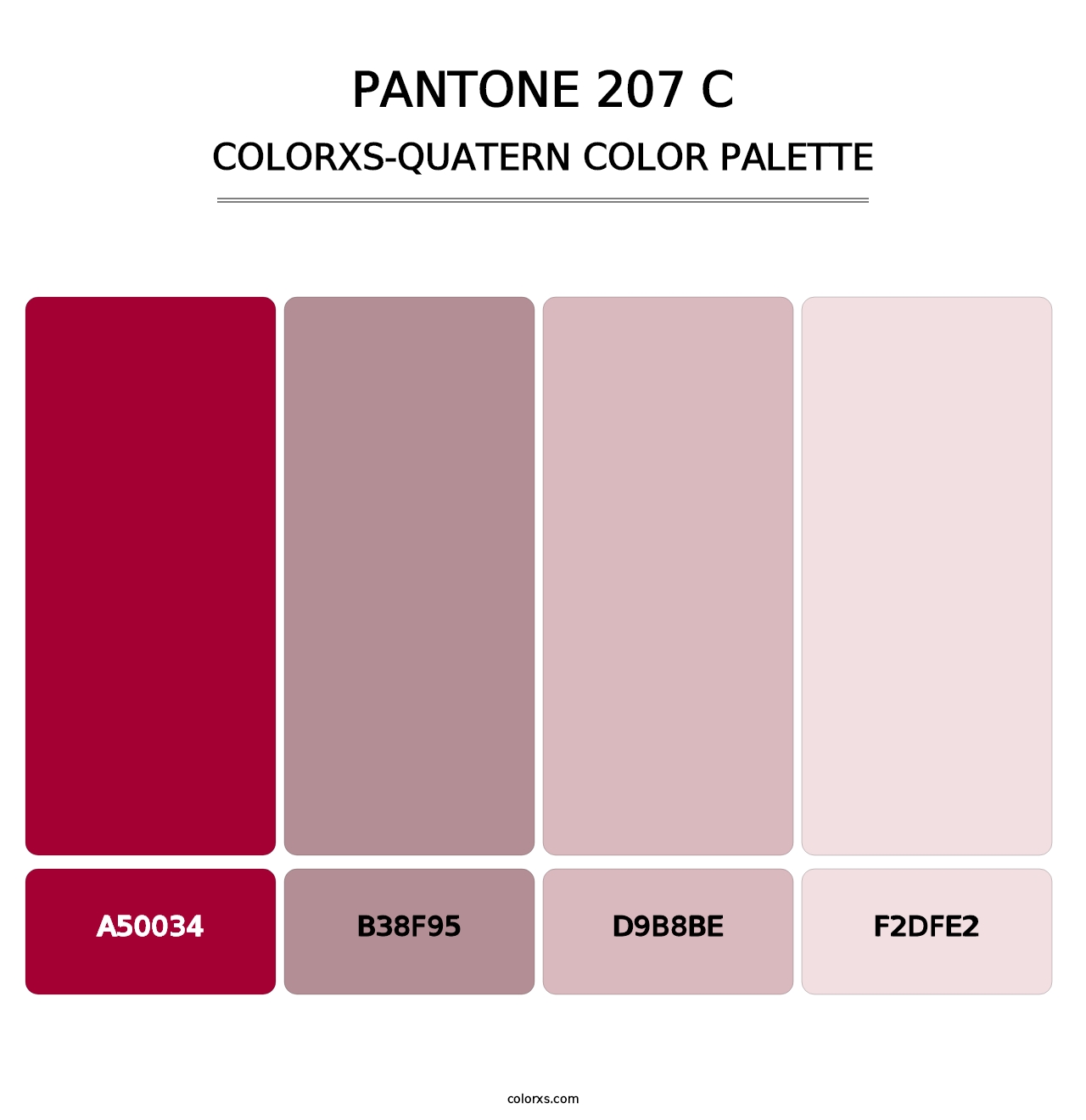 PANTONE 207 C - Colorxs Quatern Palette