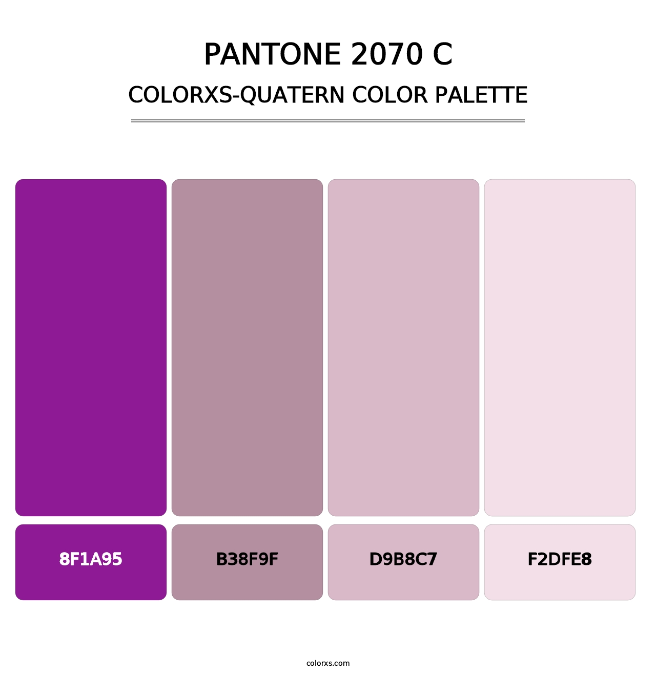 PANTONE 2070 C - Colorxs Quatern Palette