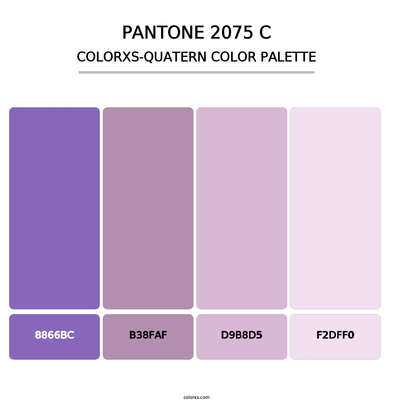 PANTONE 2075 C - Colorxs Quatern Palette
