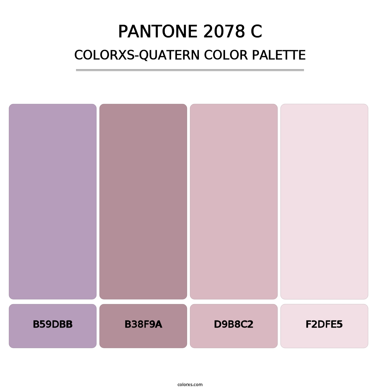 PANTONE 2078 C - Colorxs Quatern Palette