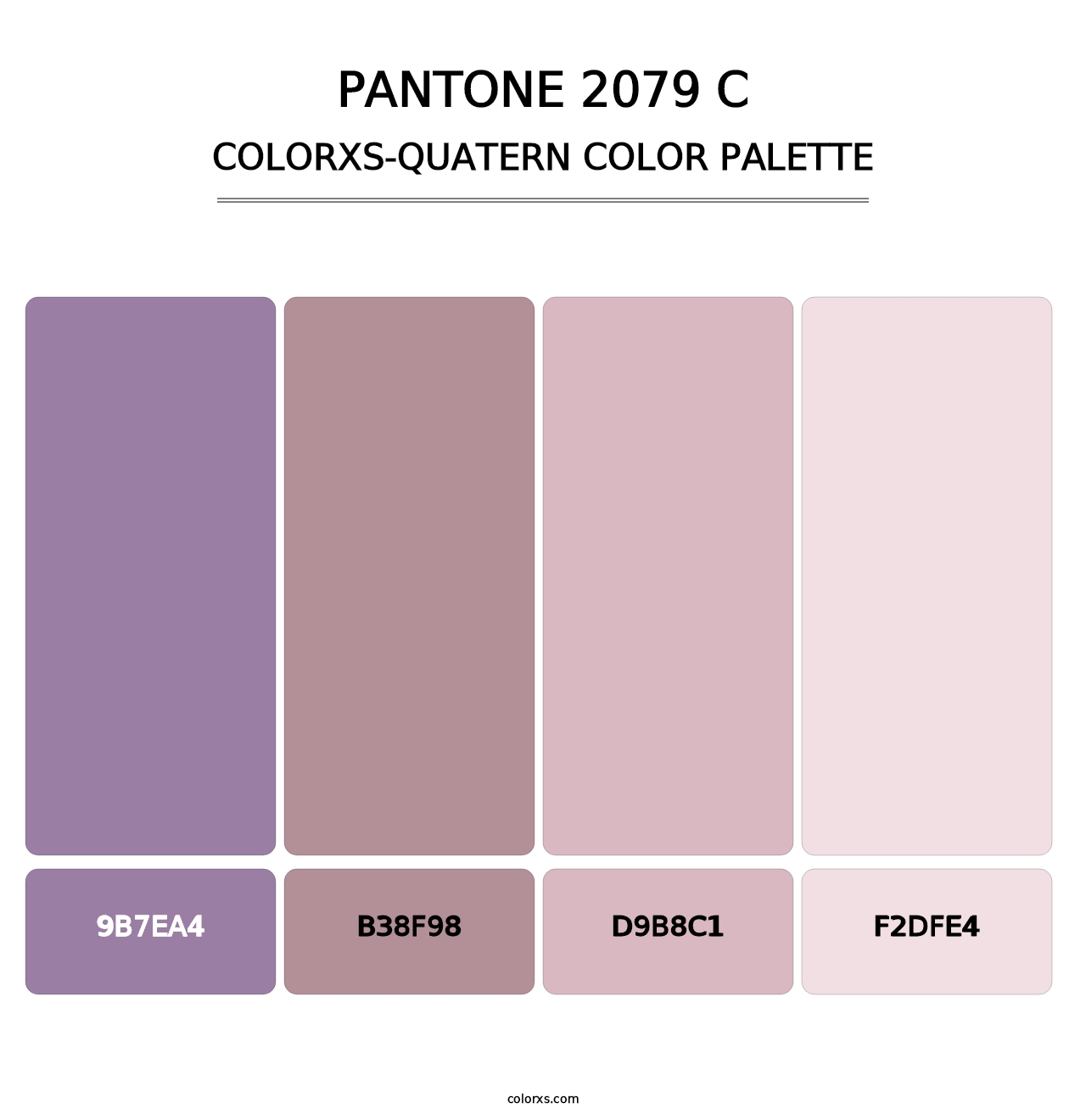 PANTONE 2079 C - Colorxs Quatern Palette