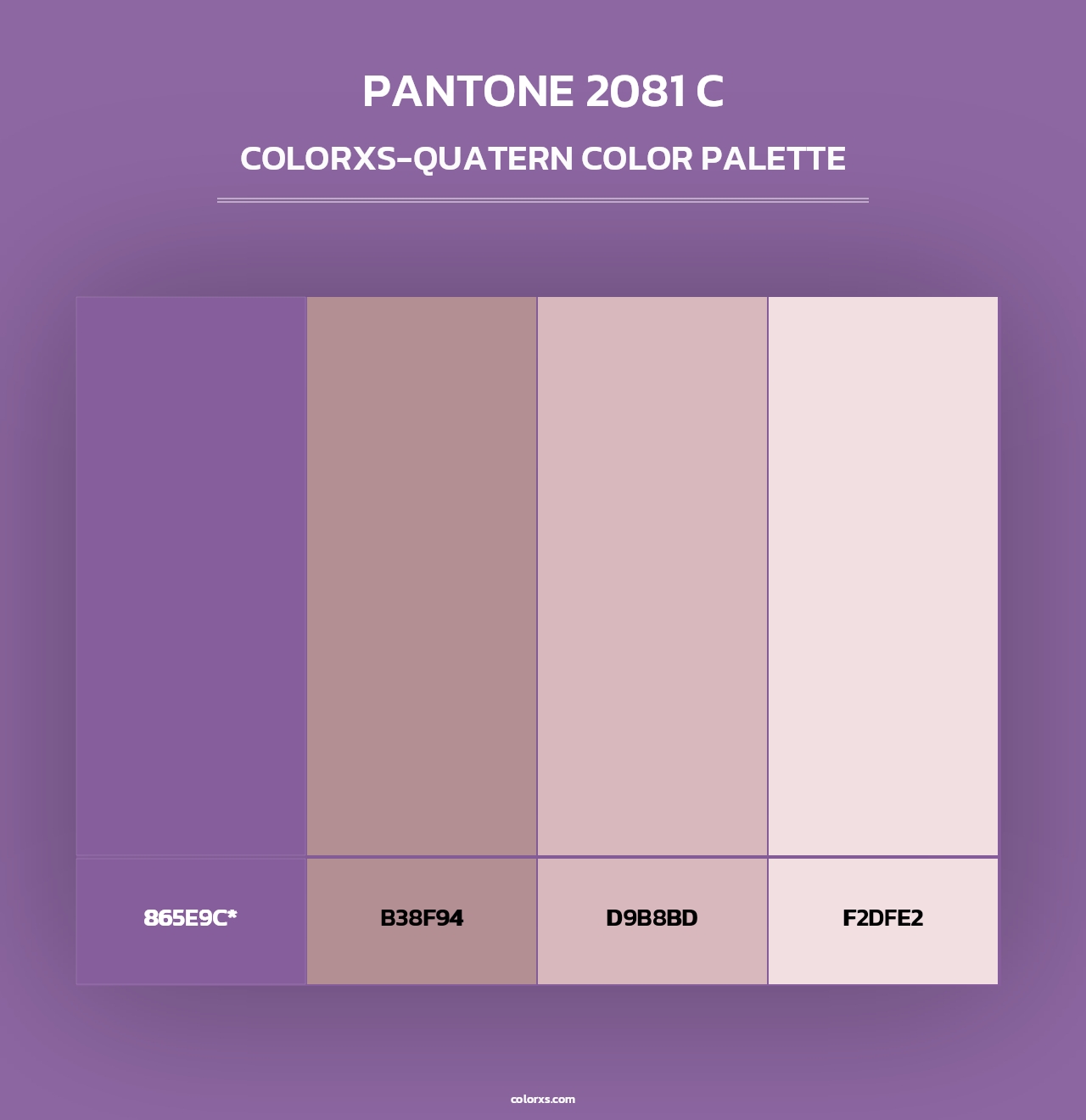 PANTONE 2081 C - Colorxs Quad Palette