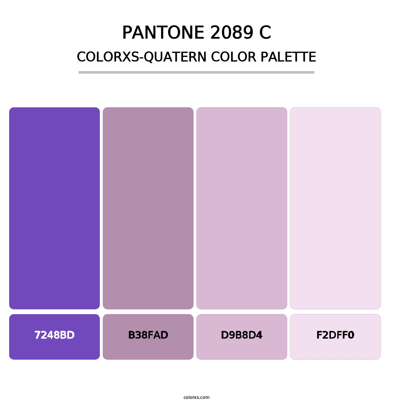PANTONE 2089 C - Colorxs Quatern Palette