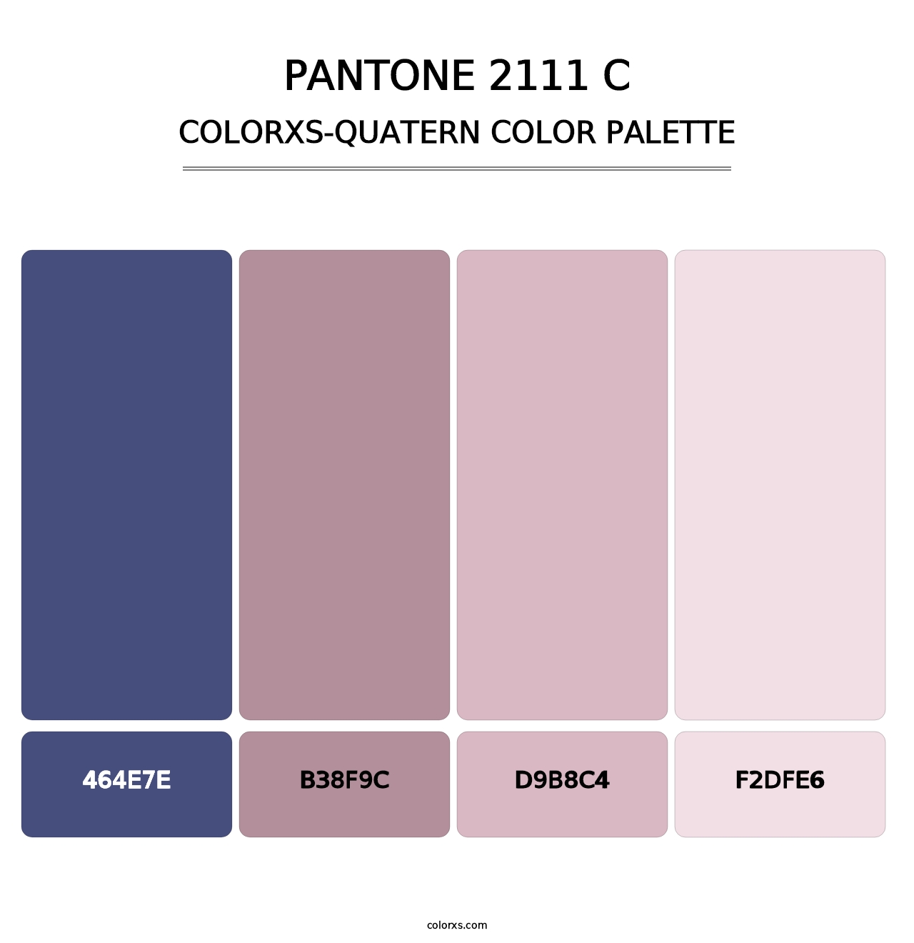 PANTONE 2111 C - Colorxs Quatern Palette