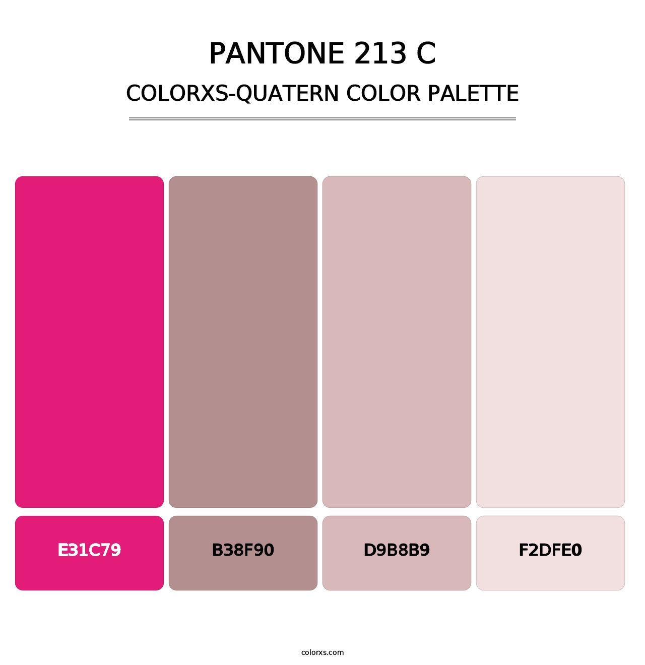 PANTONE 213 C - Colorxs Quatern Palette