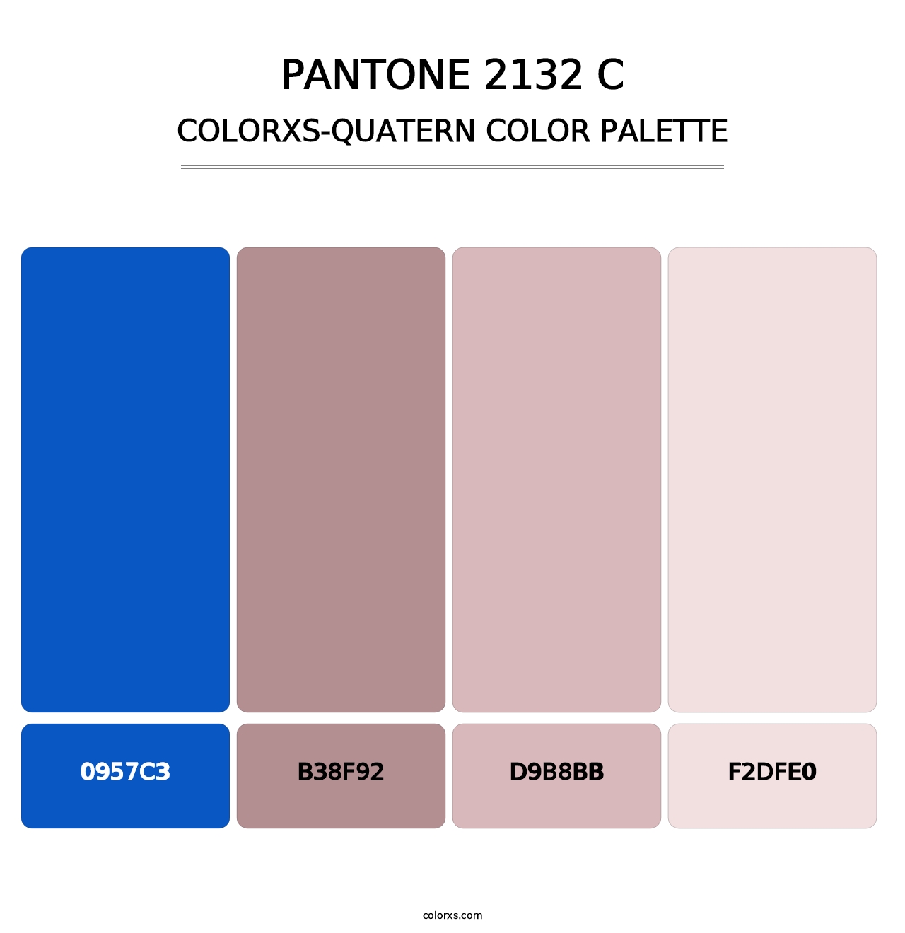 PANTONE 2132 C - Colorxs Quatern Palette
