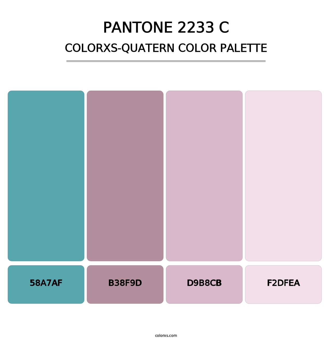 PANTONE 2233 C - Colorxs Quatern Palette