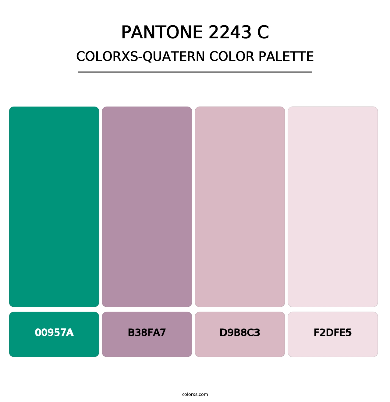 PANTONE 2243 C - Colorxs Quatern Palette