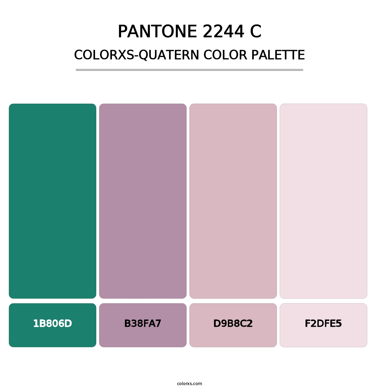PANTONE 2244 C - Colorxs Quatern Palette