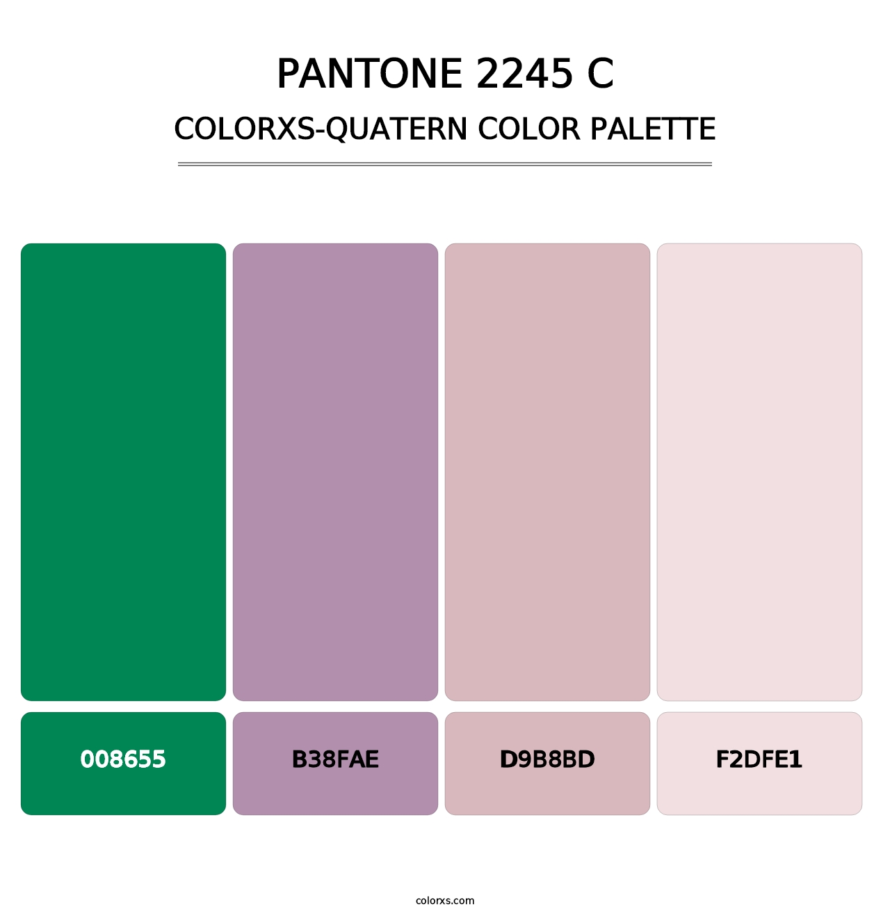 PANTONE 2245 C - Colorxs Quatern Palette