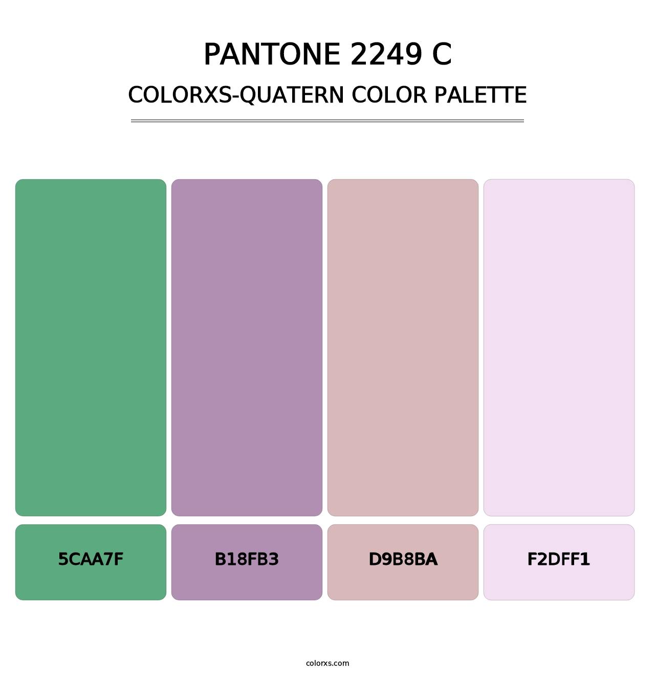 PANTONE 2249 C - Colorxs Quatern Palette