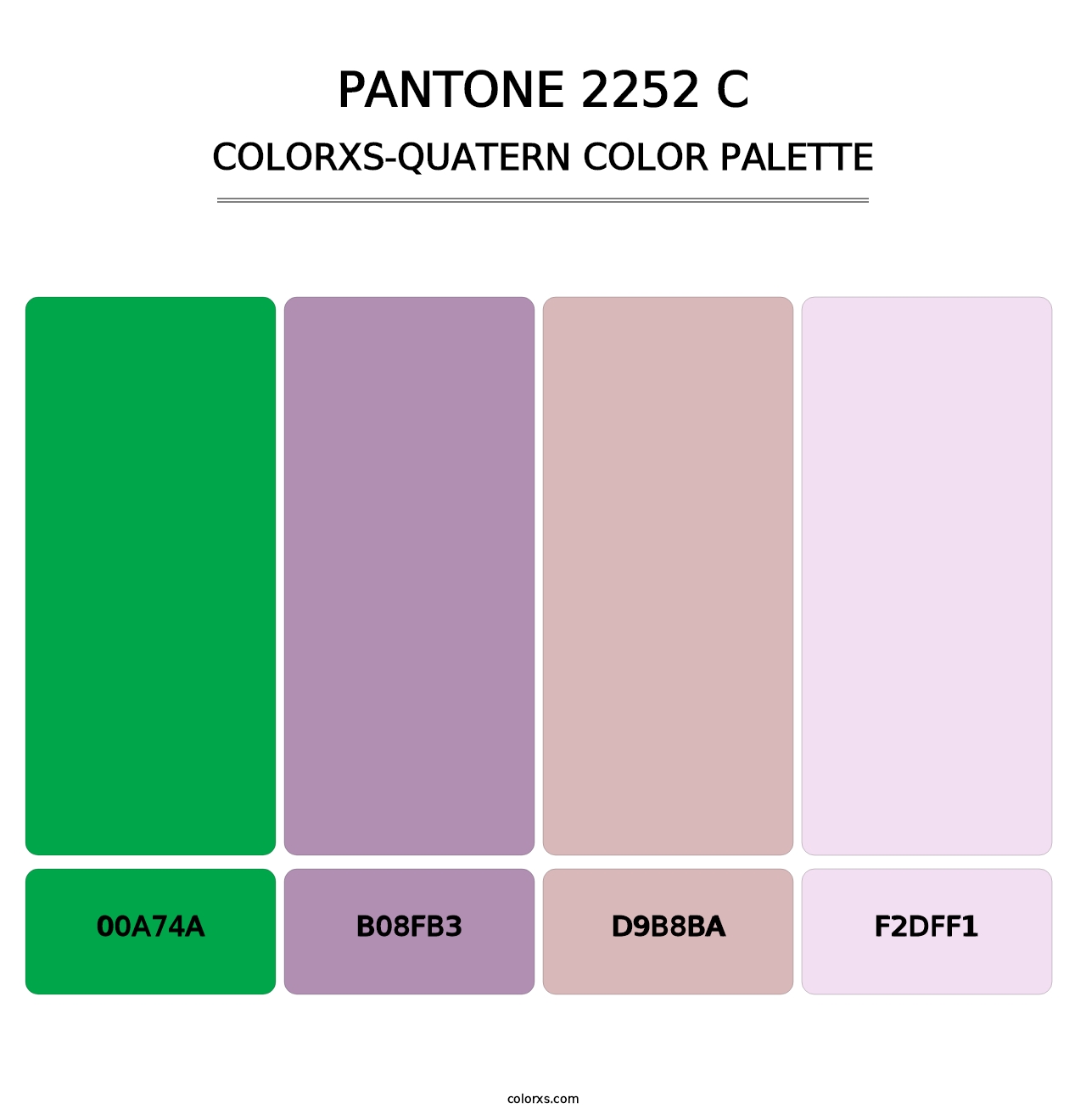 PANTONE 2252 C - Colorxs Quatern Palette