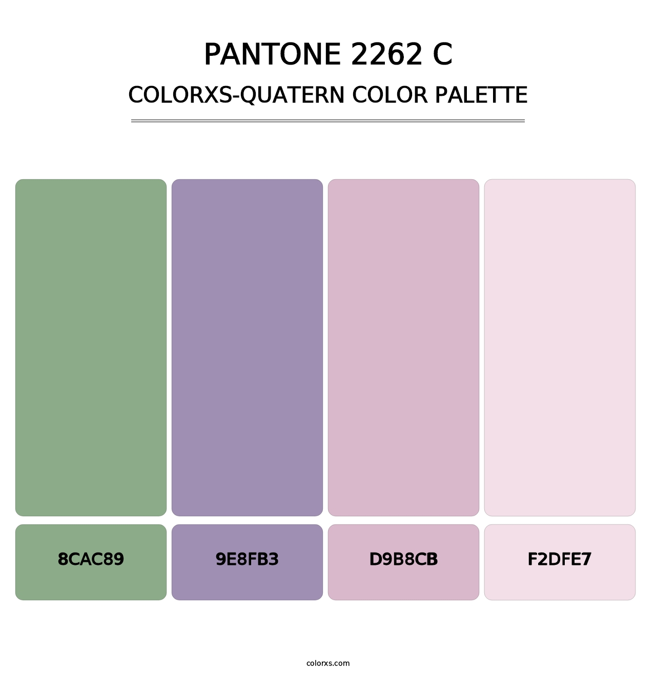 PANTONE 2262 C - Colorxs Quatern Palette