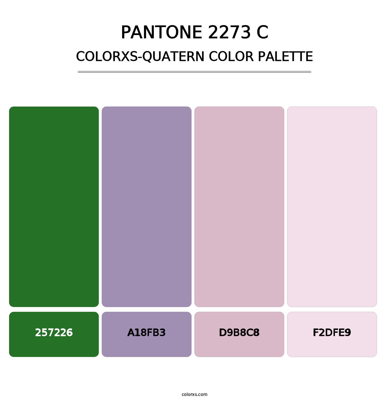 PANTONE 2273 C - Colorxs Quatern Palette