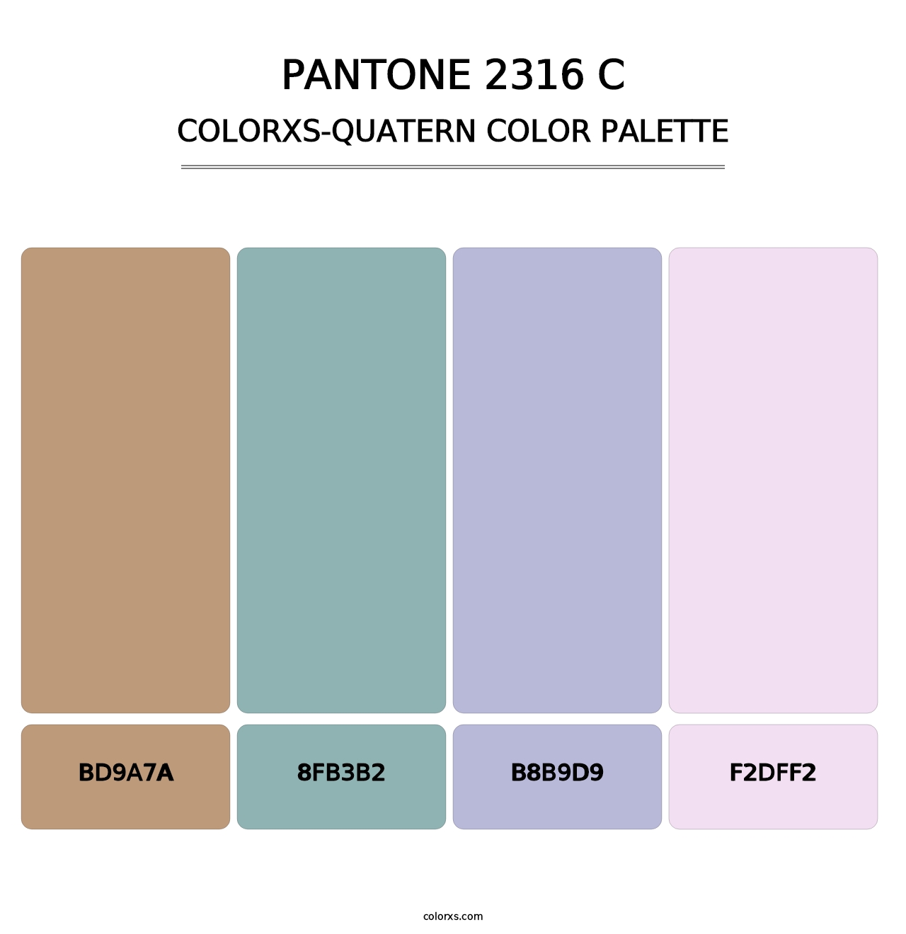 PANTONE 2316 C - Colorxs Quatern Palette