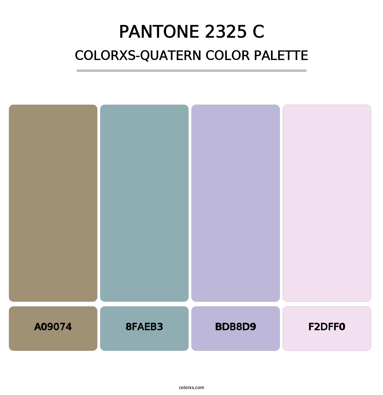 PANTONE 2325 C - Colorxs Quatern Palette