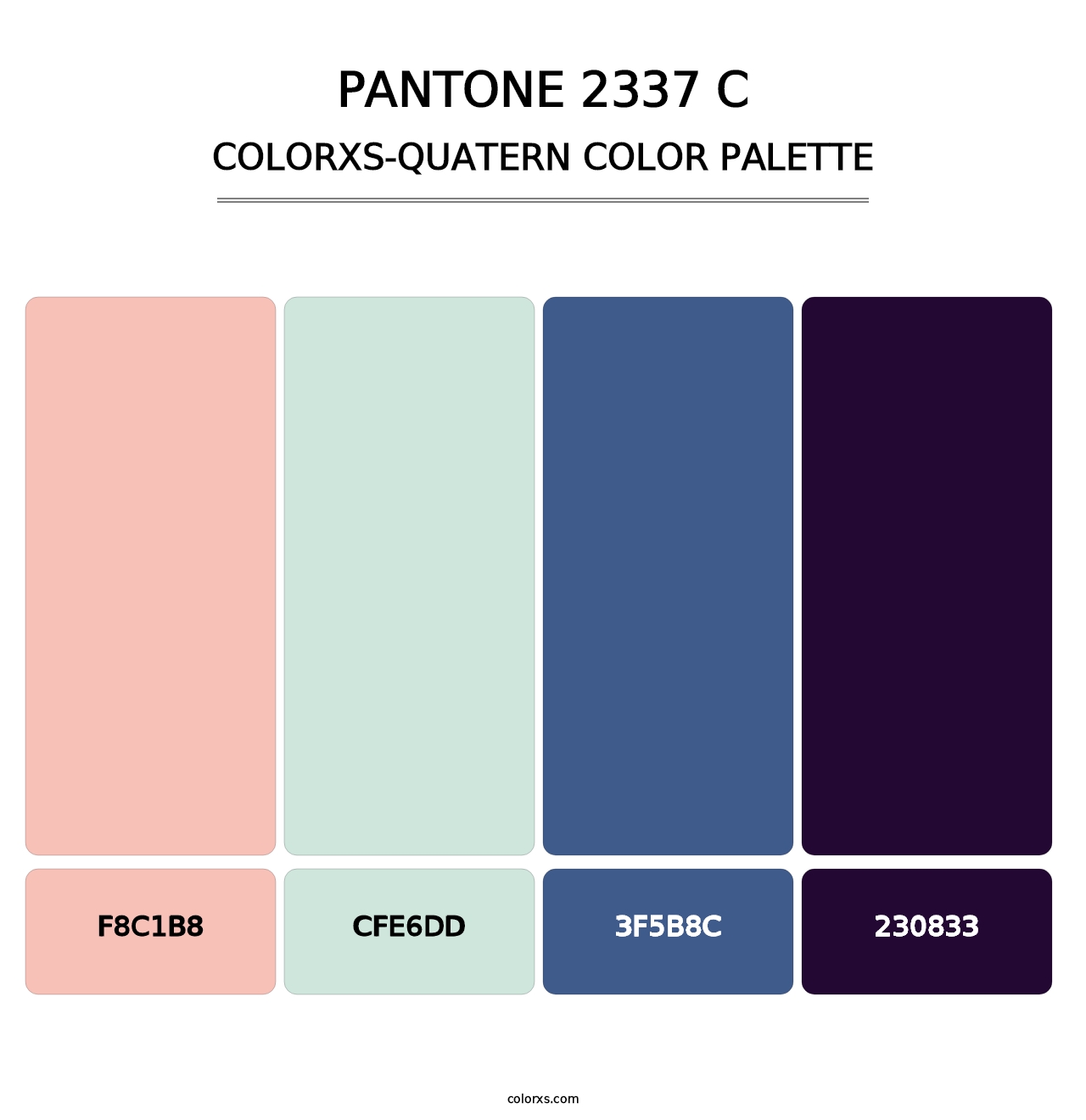 PANTONE 2337 C - Colorxs Quatern Palette