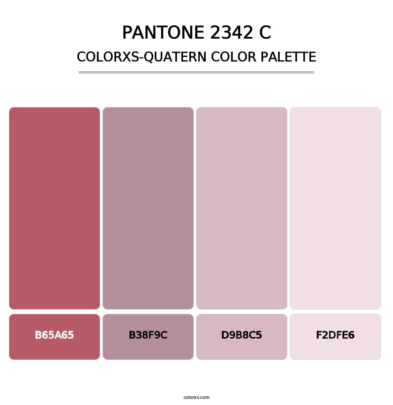 PANTONE 2342 C - Colorxs Quatern Palette