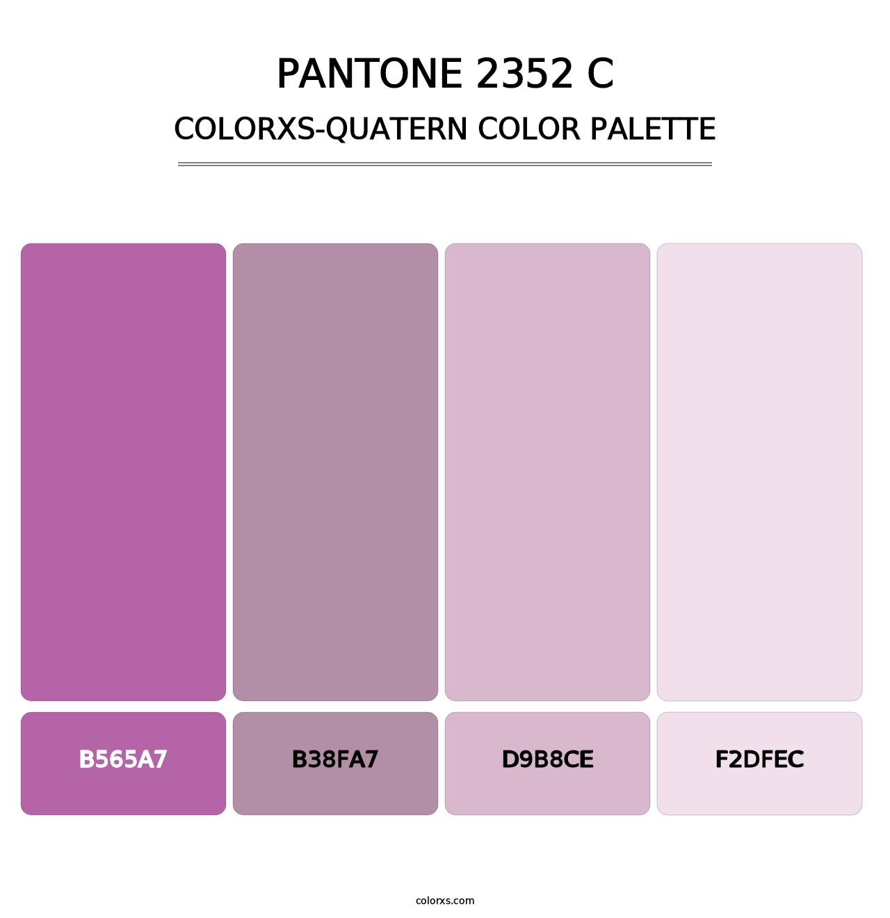 PANTONE 2352 C - Colorxs Quatern Palette