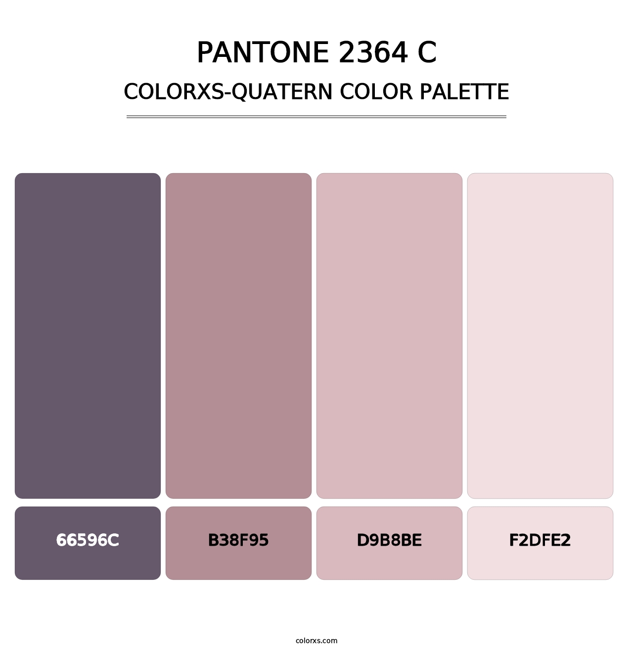 PANTONE 2364 C - Colorxs Quatern Palette