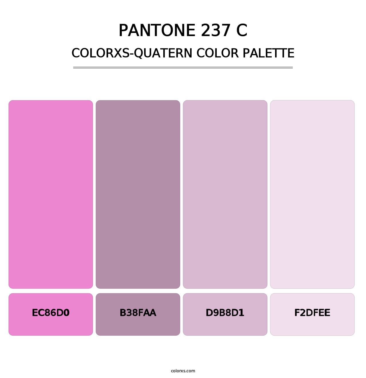 PANTONE 237 C - Colorxs Quatern Palette
