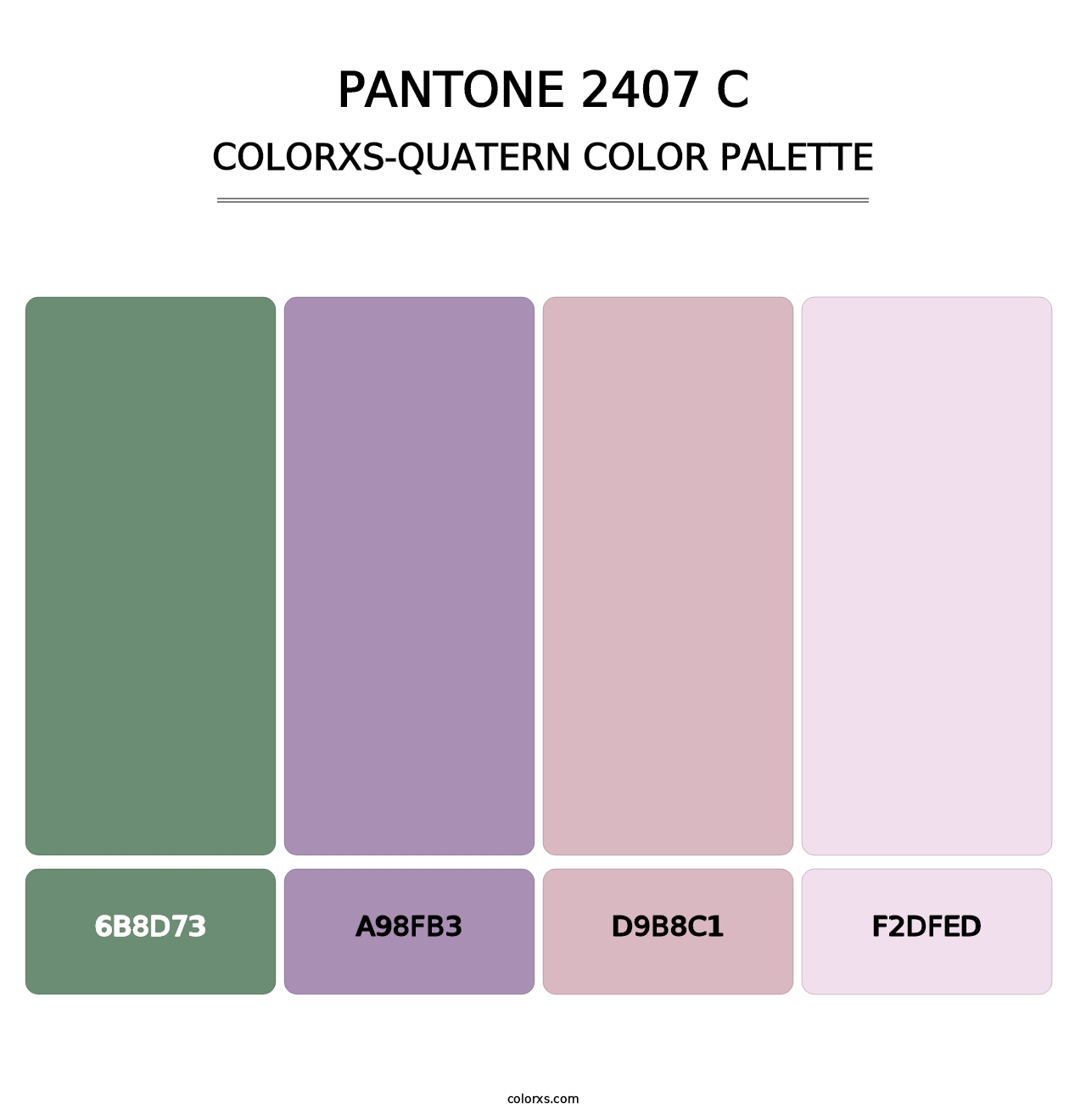 PANTONE 2407 C - Colorxs Quatern Palette