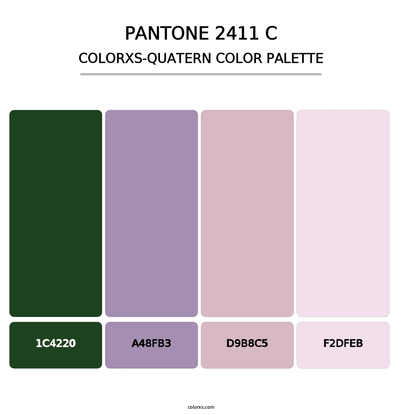 PANTONE 2411 C - Colorxs Quatern Palette