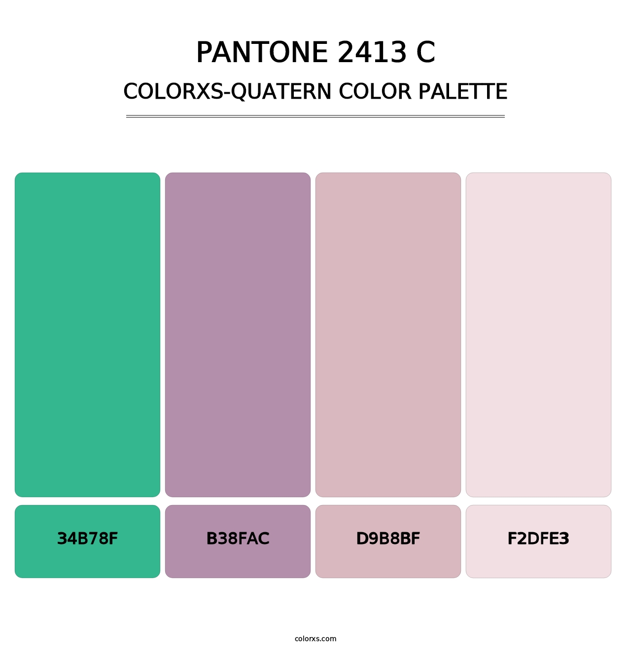 PANTONE 2413 C - Colorxs Quatern Palette
