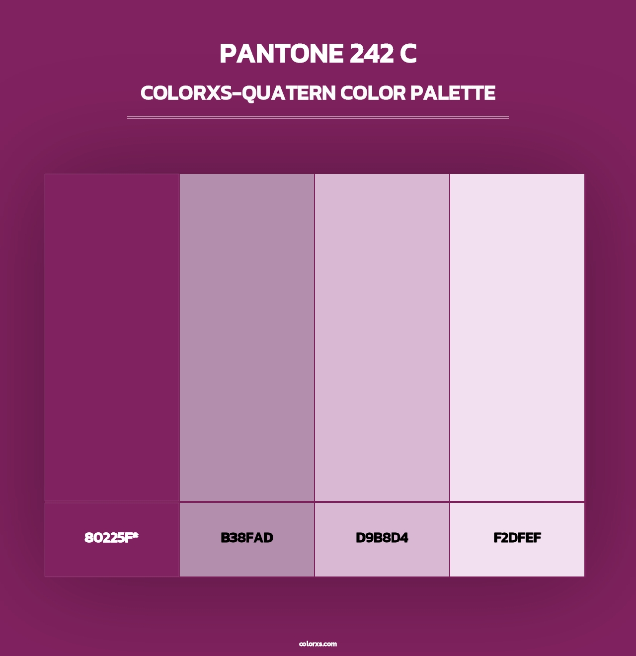 PANTONE 242 C - Colorxs Quad Palette
