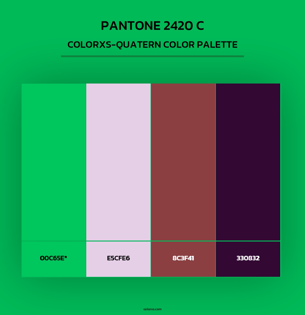 PANTONE 2420 C - Colorxs Quad Palette