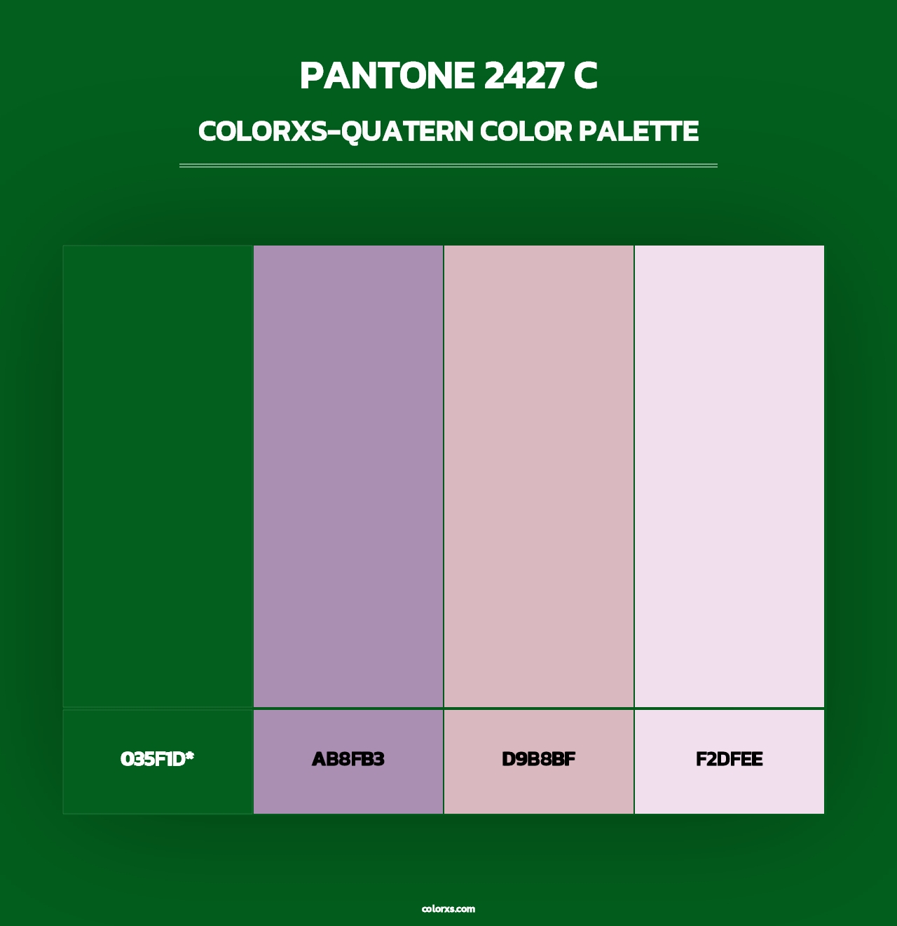 PANTONE 2427 C - Colorxs Quad Palette