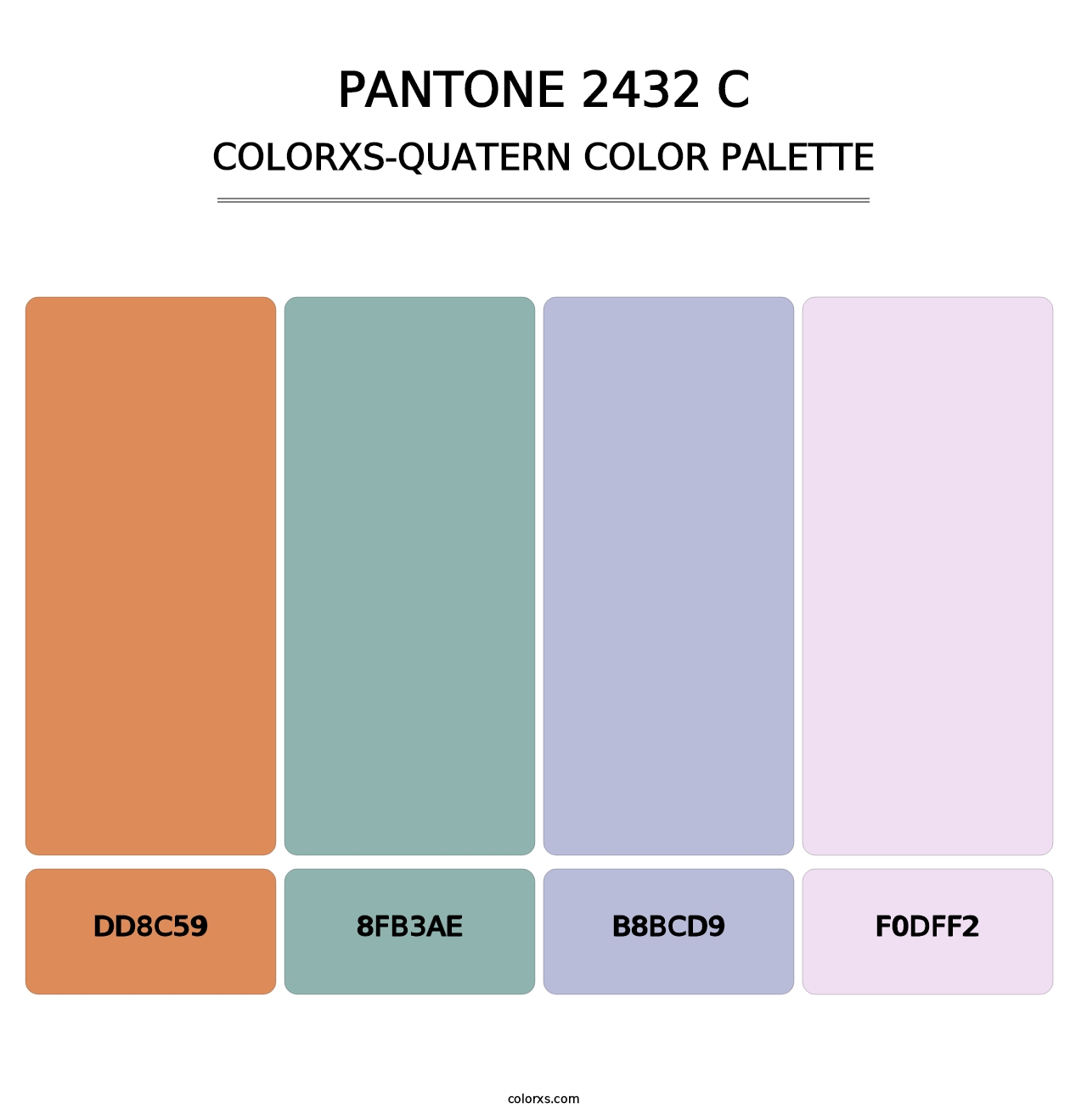 PANTONE 2432 C - Colorxs Quatern Palette