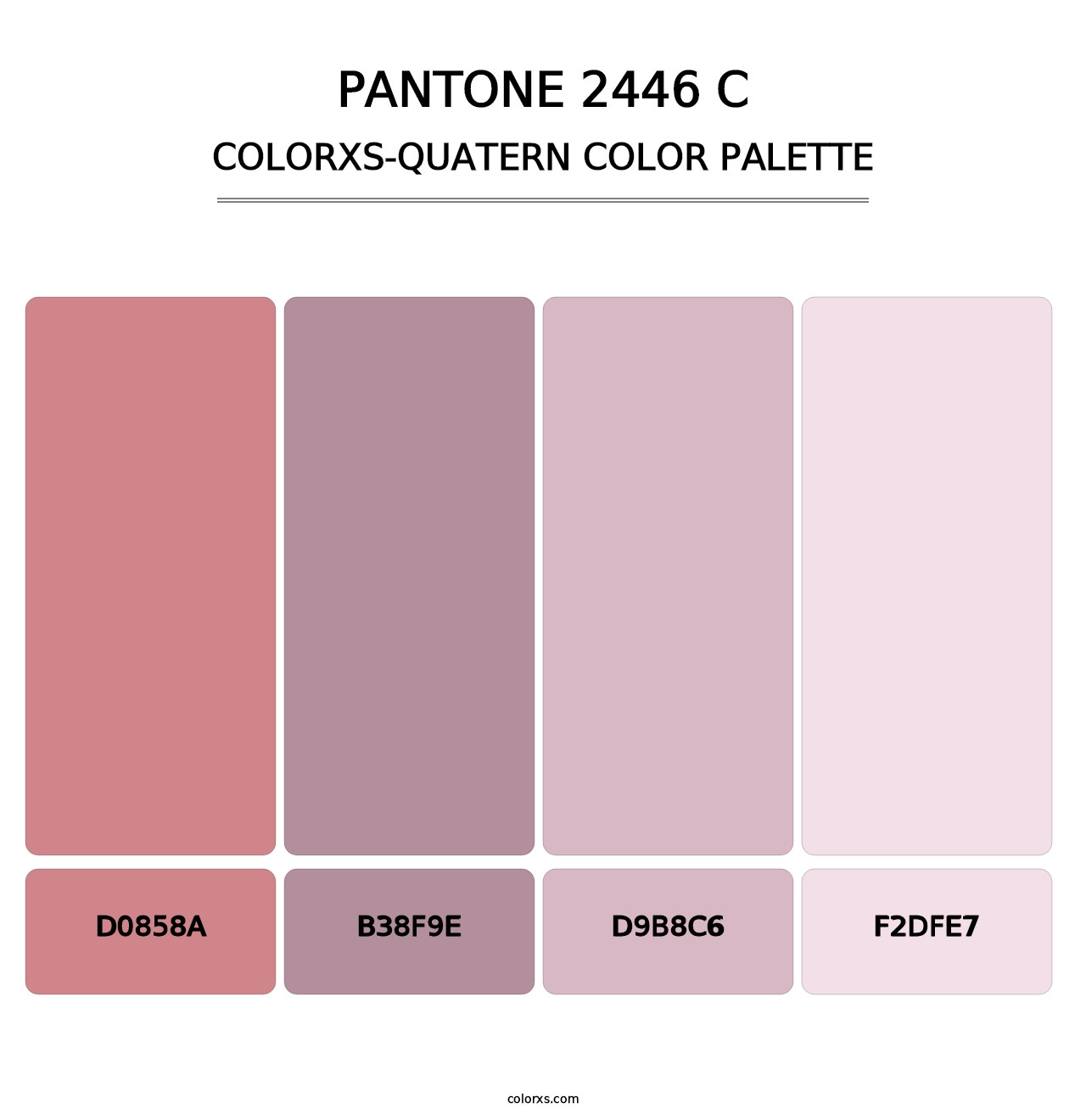 PANTONE 2446 C - Colorxs Quatern Palette
