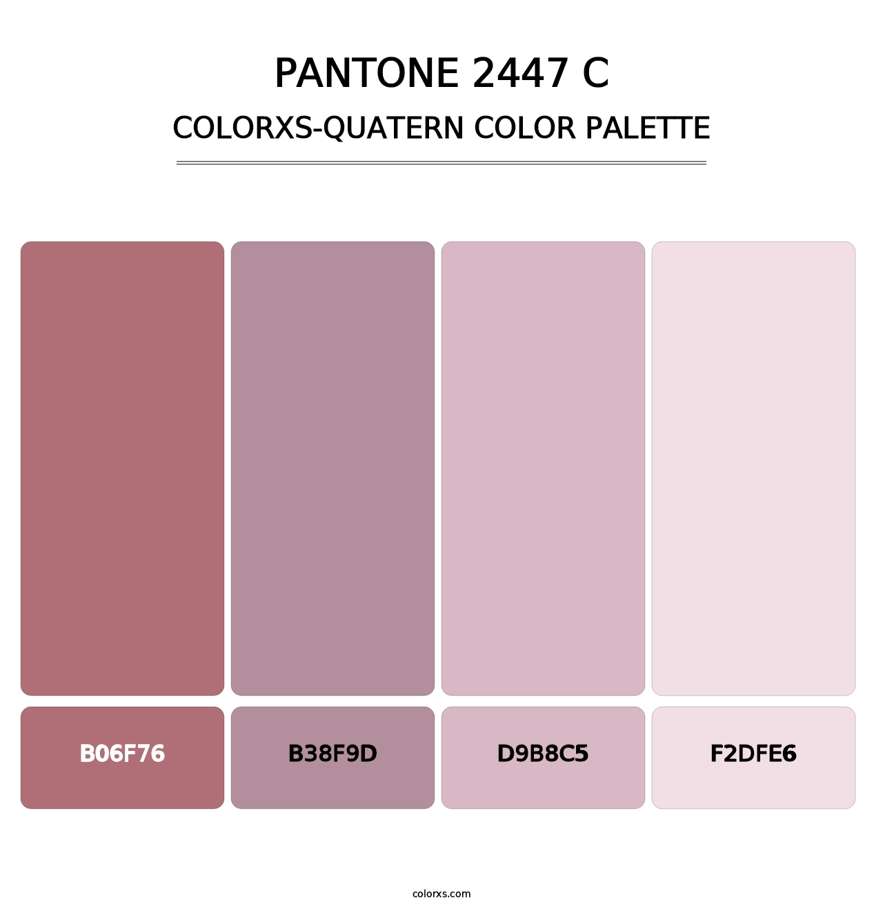 PANTONE 2447 C - Colorxs Quatern Palette