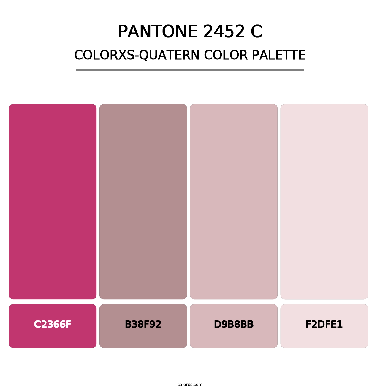 PANTONE 2452 C - Colorxs Quatern Palette