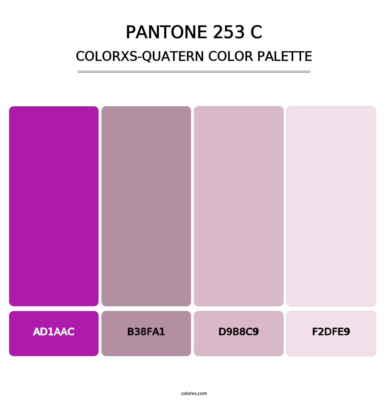 PANTONE 253 C - Colorxs Quatern Palette