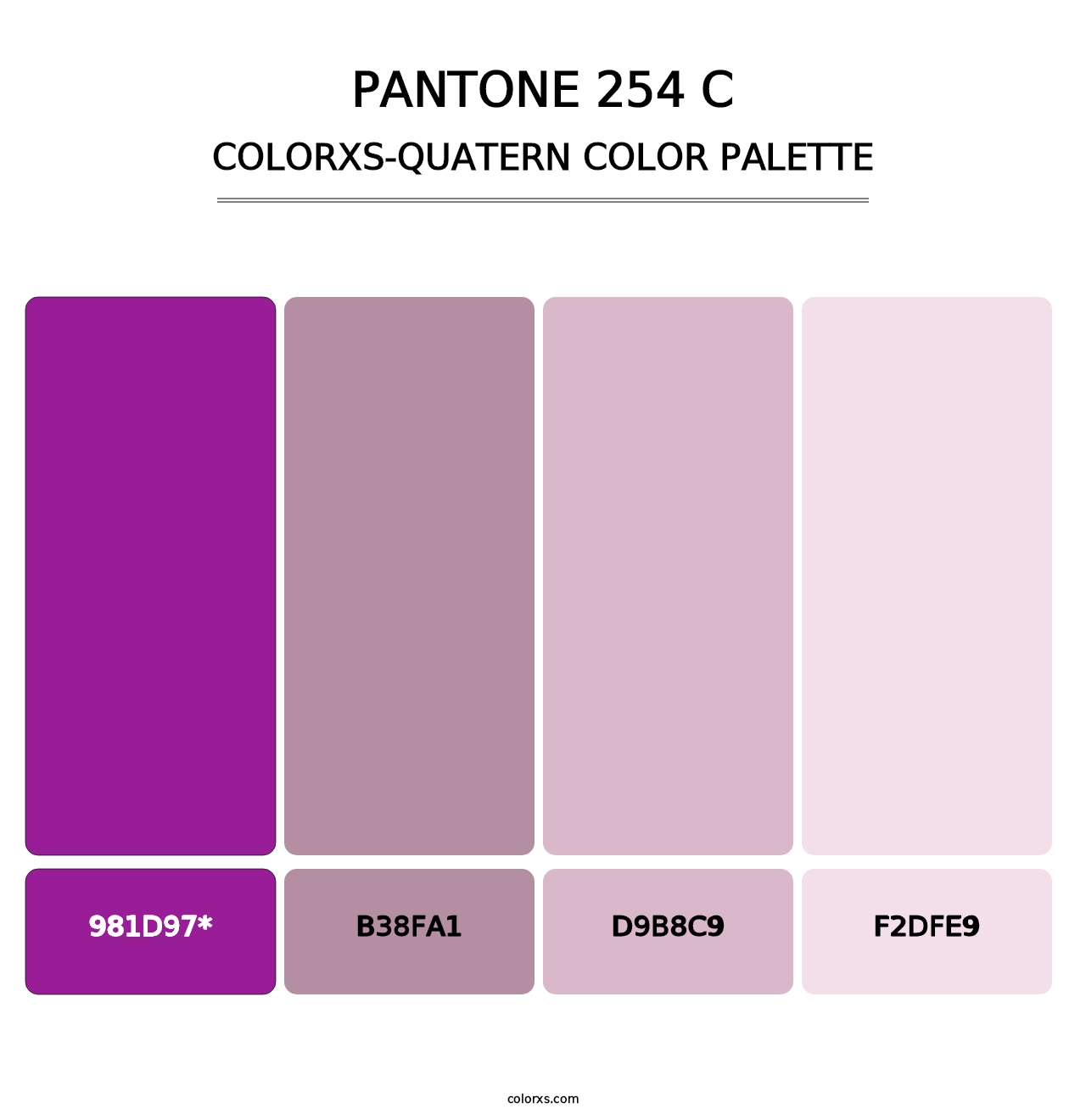 PANTONE 254 C - Colorxs Quatern Palette