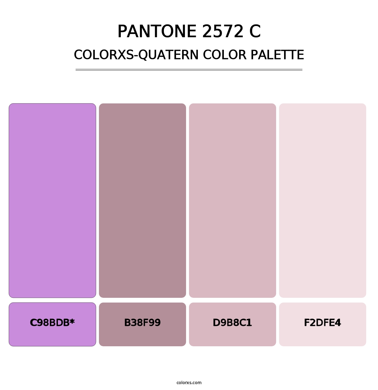 PANTONE 2572 C - Colorxs Quatern Palette