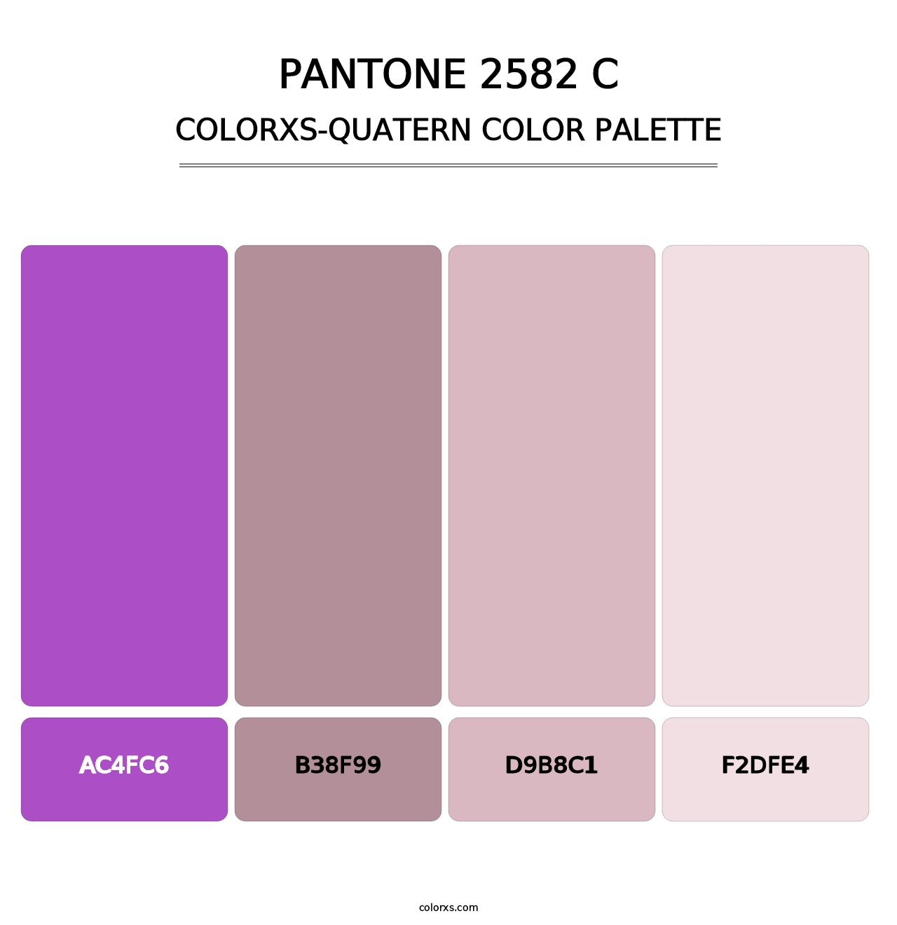 PANTONE 2582 C - Colorxs Quatern Palette