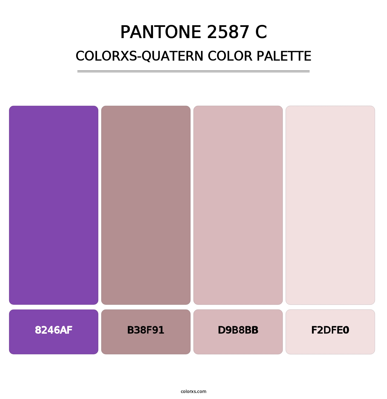 PANTONE 2587 C - Colorxs Quatern Palette