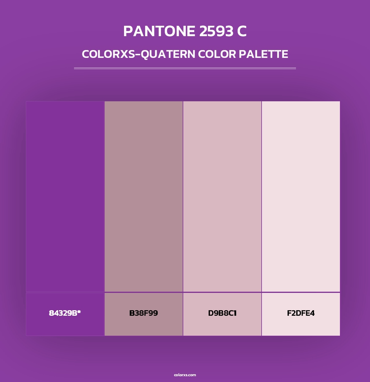 PANTONE 2593 C - Colorxs Quad Palette