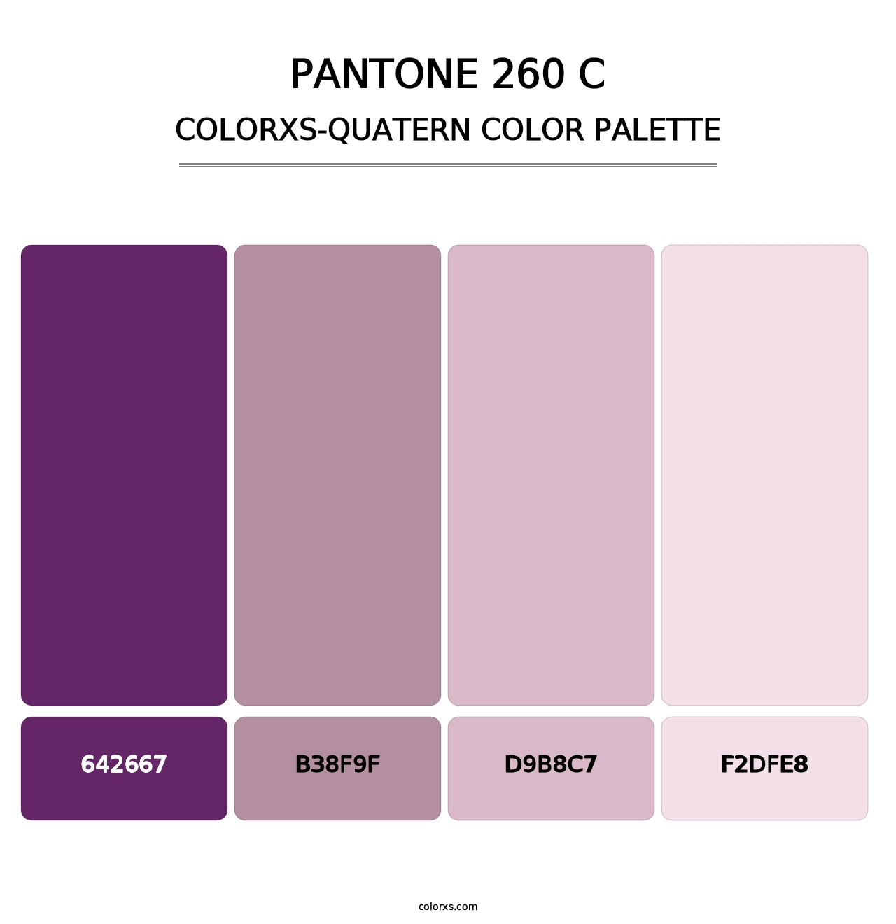 PANTONE 260 C - Colorxs Quatern Palette