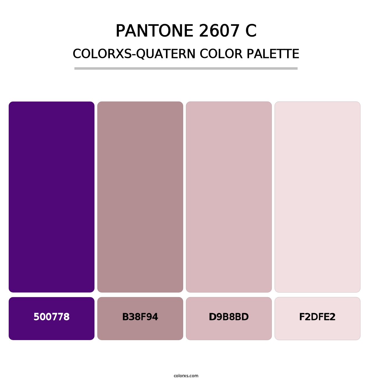PANTONE 2607 C - Colorxs Quatern Palette