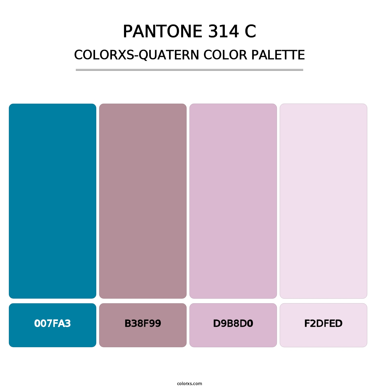 PANTONE 314 C - Colorxs Quatern Palette