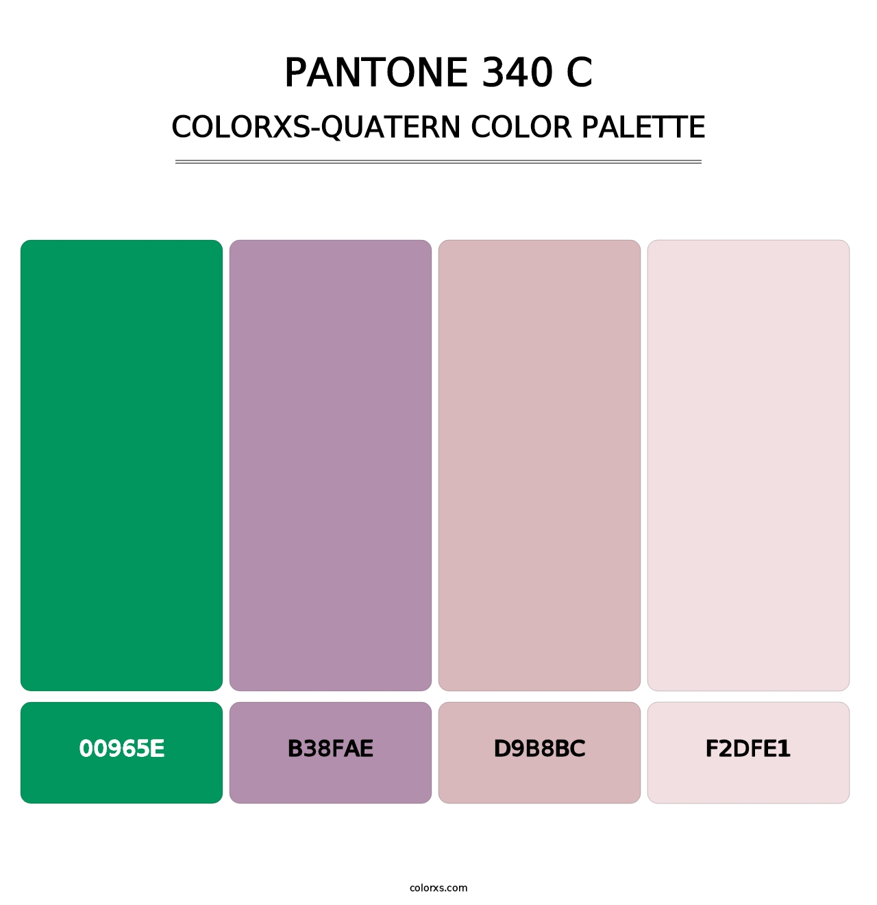 PANTONE 340 C - Colorxs Quatern Palette