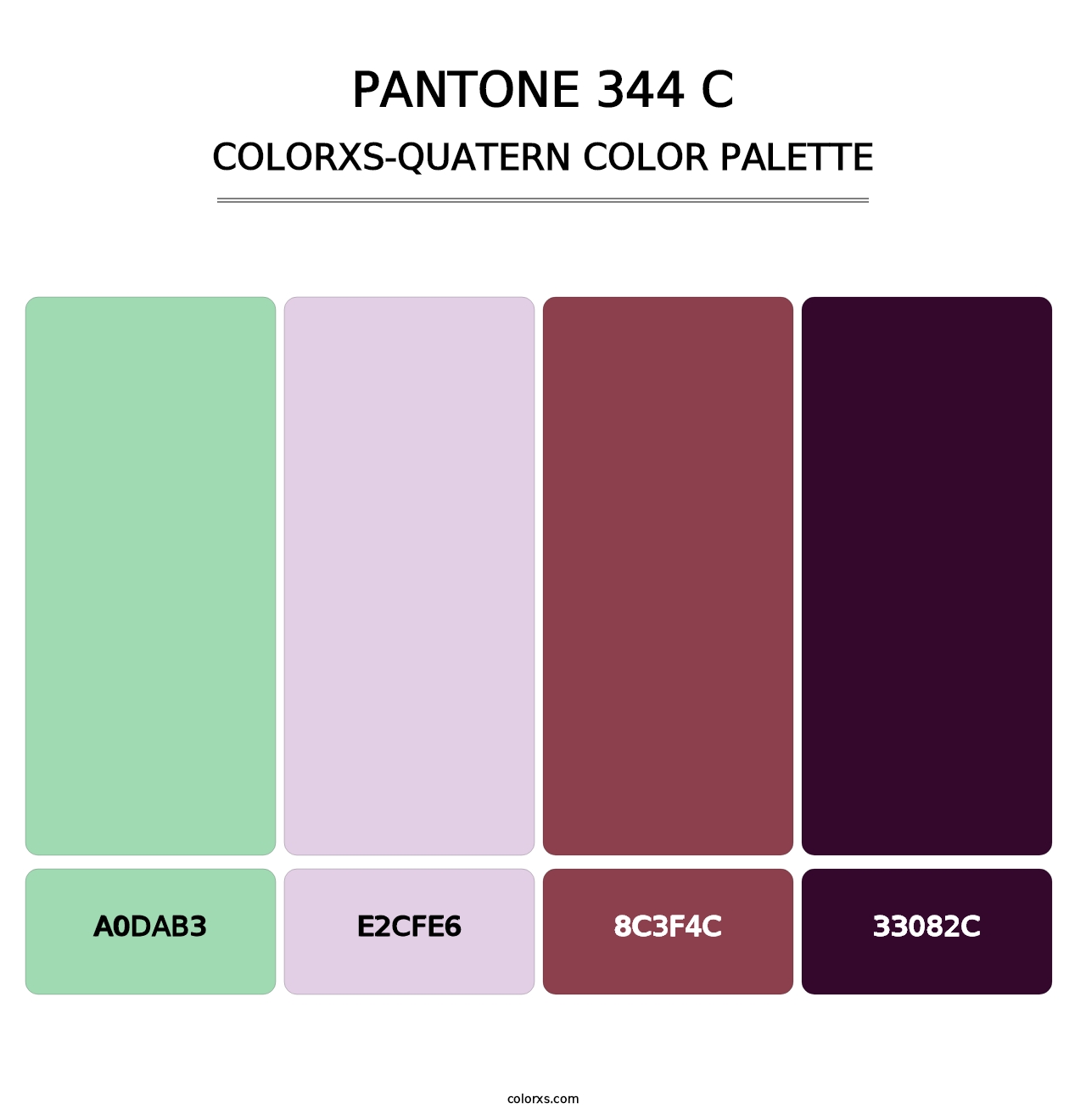 PANTONE 344 C - Colorxs Quatern Palette